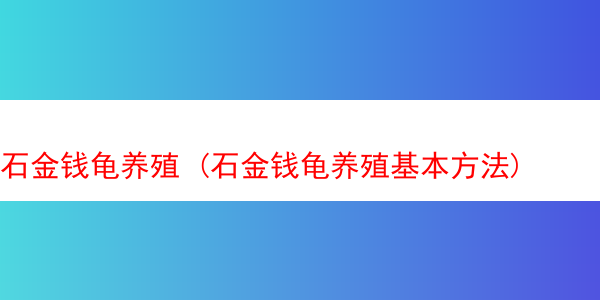 石金钱龟养殖 (石金钱龟养殖基本方法)