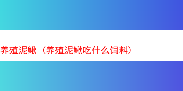 养殖泥鳅 (养殖泥鳅吃什么饲料)