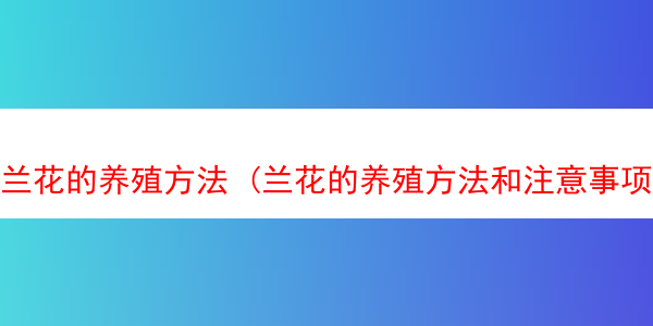 兰花的养殖方法 (兰花的养殖方法和注意事项 盆栽兰)