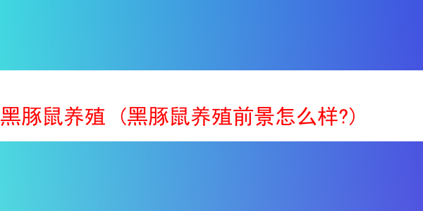 黑豚鼠养殖 (黑豚鼠养殖前景怎么样?)