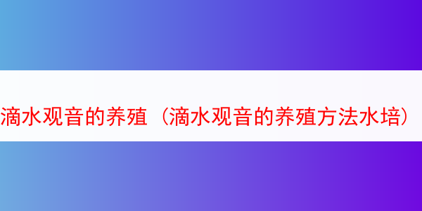 滴水观音的养殖 (滴水观音的养殖方法水培)