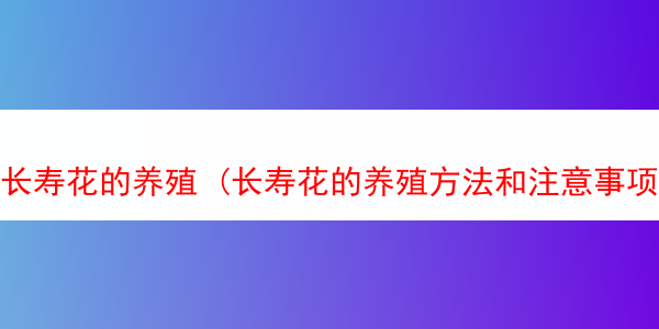 长寿花的养殖 (长寿花的养殖方法和注意事项 盆栽)