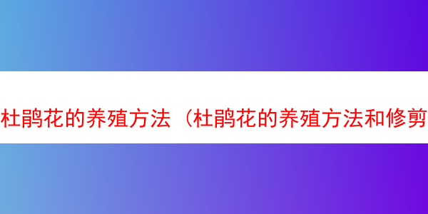 杜鹃花的养殖方法 (杜鹃花的养殖方法和修剪)