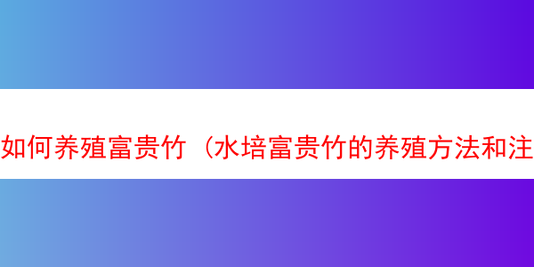 如何养殖富贵竹 (水培富贵竹的养殖方法和注意事项)