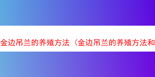 金边吊兰的养殖方法 (金边吊兰的养殖方法和注意事项 盆栽)