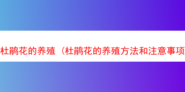 杜鹃花的养殖 (杜鹃花的养殖方法和注意事项 地栽)