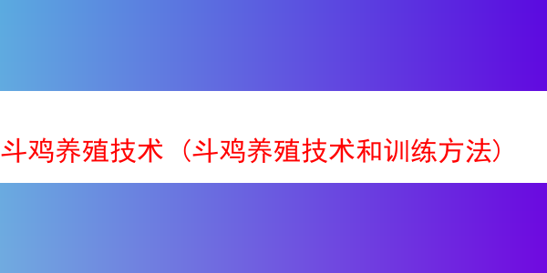 斗鸡养殖技术 (斗鸡养殖技术和训练方法)