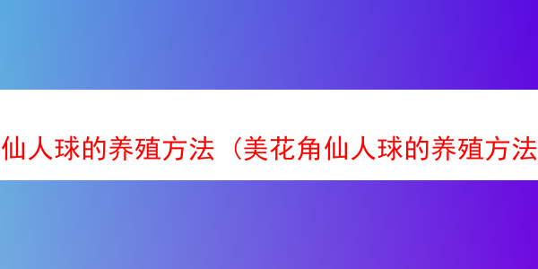 仙人球的养殖方法 (美花角仙人球的养殖方法)