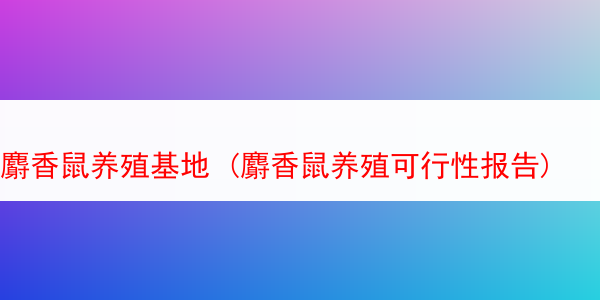 麝香鼠养殖基地 (麝香鼠养殖可行性报告)