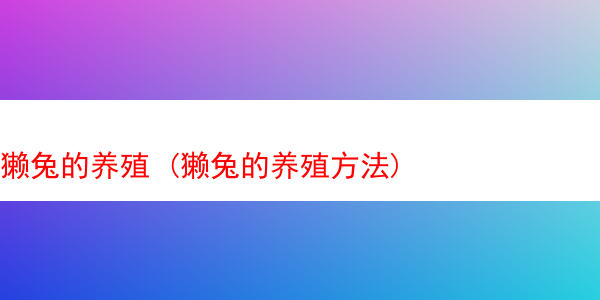 獭兔的养殖 (獭兔的养殖方法)