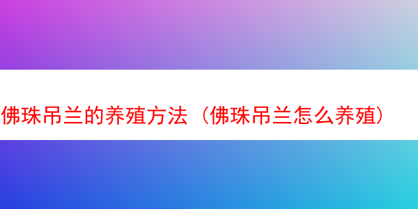 佛珠吊兰的养殖方法 (佛珠吊兰怎么养殖)