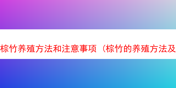 棕竹养殖方法和注意事项 (棕竹的养殖方法及图片)