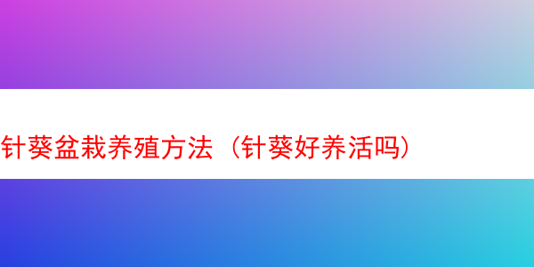 针葵盆栽养殖方法 (针葵好养活吗)