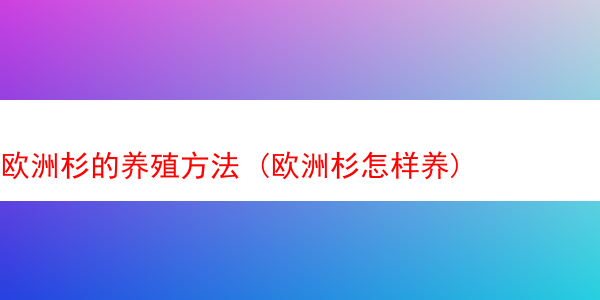 欧洲杉的养殖方法 (欧洲杉怎样养)