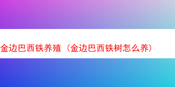 金边巴西铁养殖 (金边巴西铁树怎么养)