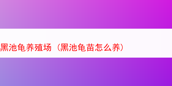 黑池龟养殖场 (黑池龟苗怎么养)