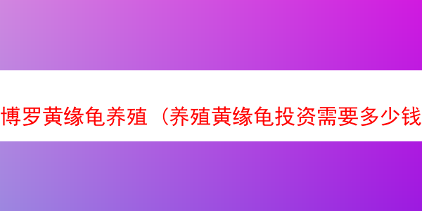 博罗黄缘龟养殖 (养殖黄缘龟投资需要多少钱)