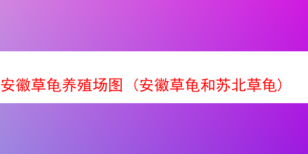 安徽草龟养殖场图 (安徽草龟和苏北草龟)