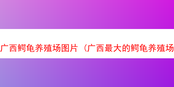 广西鳄龟养殖场图片 (广西最大的鳄龟养殖场在哪里)