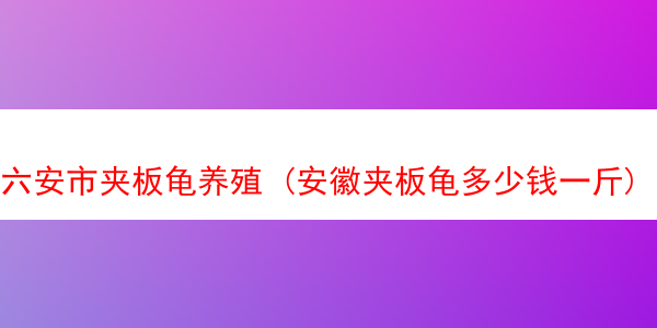 六安市夹板龟养殖 (安徽夹板龟多少钱一斤)