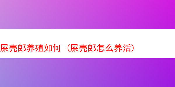 屎壳郎养殖如何 (屎壳郎怎么养活)