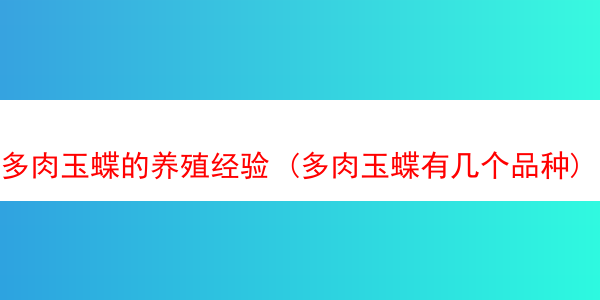 多肉玉蝶的养殖经验 (多肉玉蝶有几个品种)