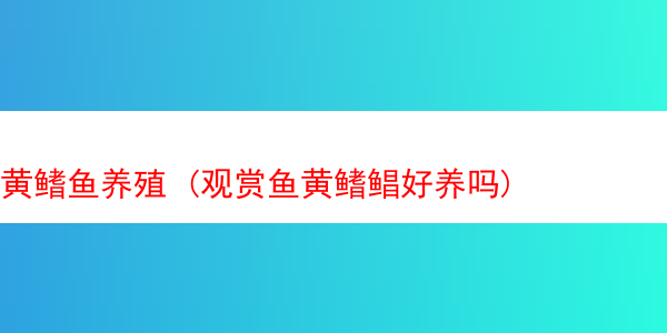 黄鳍鱼养殖 (观赏鱼黄鳍鲳好养吗)