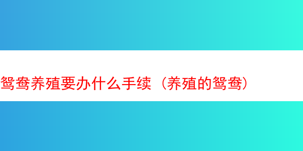 鸳鸯养殖要办什么手续 (养殖的鸳鸯)