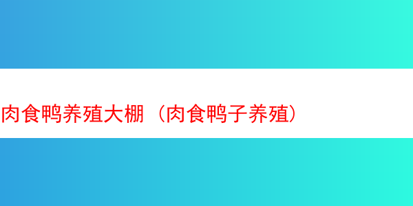 肉食鸭养殖大棚 (肉食鸭子养殖)