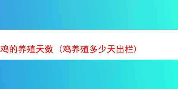 鸡的养殖天数 (鸡养殖多少天出栏)