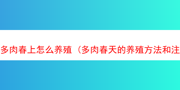 多肉春上怎么养殖 (多肉春天的养殖方法和注意事项)