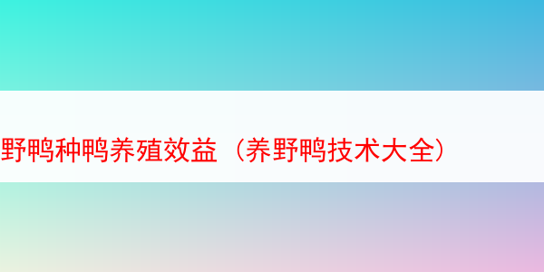 野鸭种鸭养殖效益 (养野鸭技术大全)