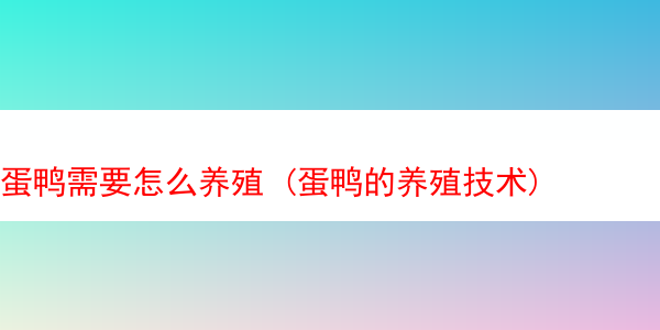 蛋鸭需要怎么养殖 (蛋鸭的养殖技术)