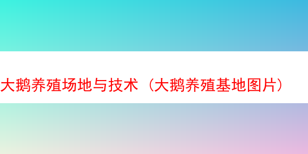 大鹅养殖场地与技术 (大鹅养殖基地图片)