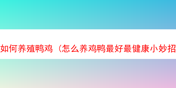 如何养殖鸭鸡 (怎么养鸡鸭最好最健康小妙招)