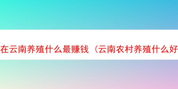 在云南养殖什么最赚钱 (云南农村养殖什么好养又好卖?)