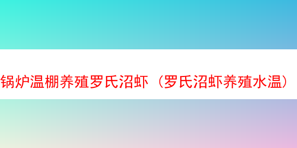 锅炉温棚养殖罗氏沼虾 (罗氏沼虾养殖水温)