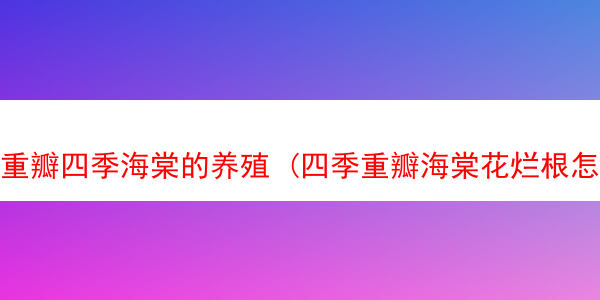 重瓣四季海棠的养殖 (四季重瓣海棠花烂根怎么处理)