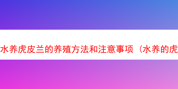 水养虎皮兰的养殖方法和注意事项 (水养的虎皮兰能活多久)