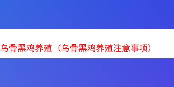 乌骨黑鸡养殖 (乌骨黑鸡养殖注意事项)