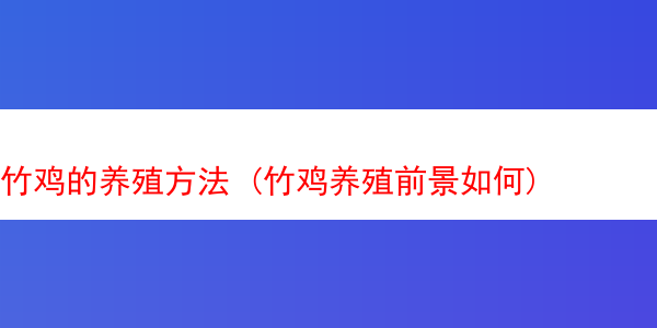 竹鸡的养殖方法 (竹鸡养殖前景如何)