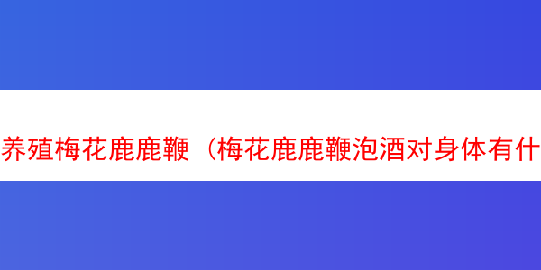 养殖梅花鹿鹿鞭 (梅花鹿鹿鞭泡酒对身体有什么用?)