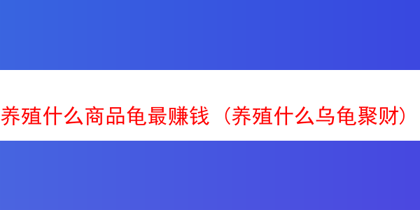 养殖什么商品龟最赚钱 (养殖什么乌龟聚财)