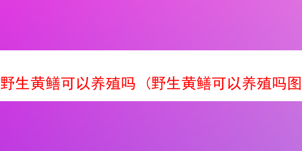 野生黄鳝可以养殖吗 (野生黄鳝可以养殖吗图片)