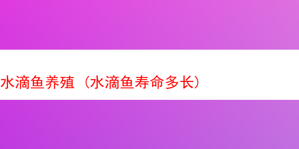 水滴鱼养殖 (水滴鱼寿命多长)