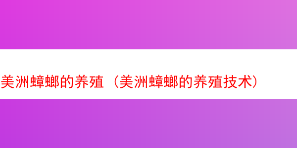 美洲蟑螂的养殖 (美洲蟑螂的养殖技术)