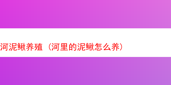 河泥鳅养殖 (河里的泥鳅怎么养)