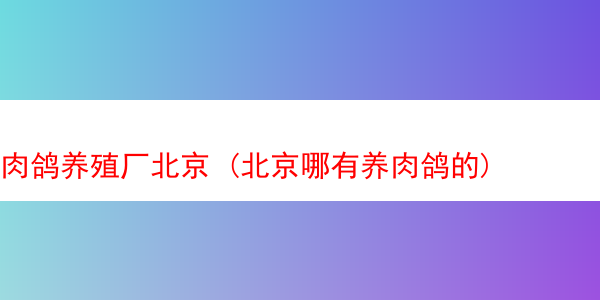 肉鸽养殖厂北京 (北京哪有养肉鸽的)