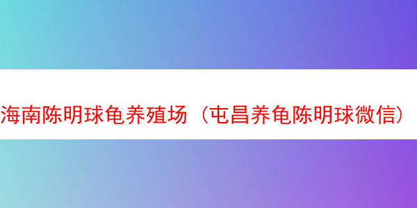 海南陈明球龟养殖场 (屯昌养龟陈明球微信)