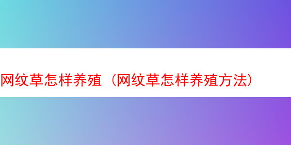 网纹草怎样养殖 (网纹草怎样养殖方法)